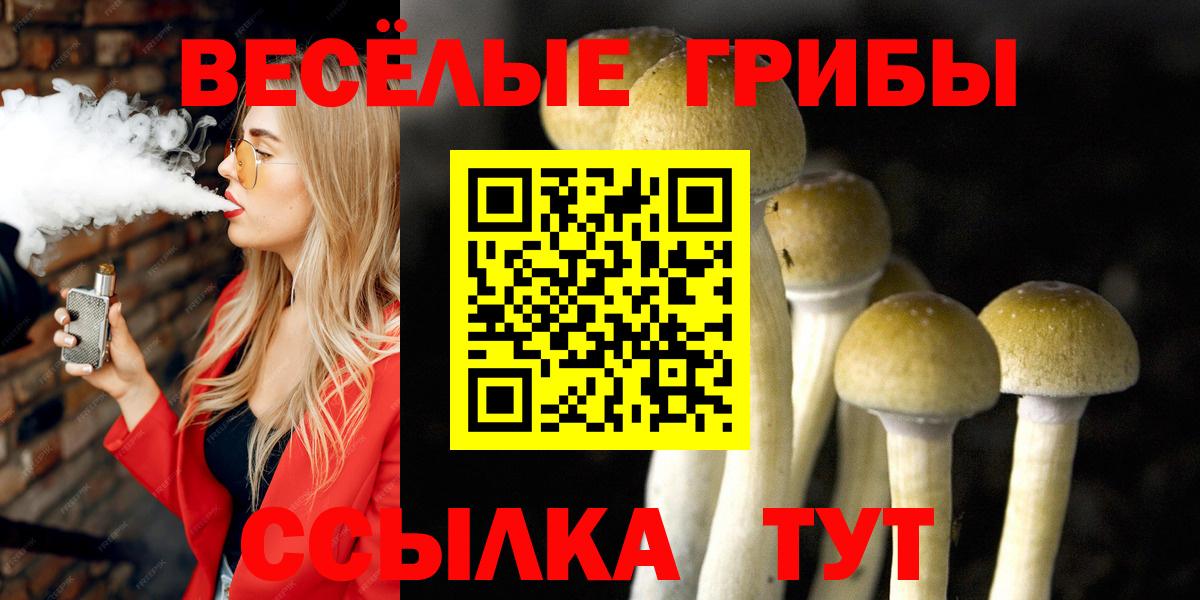 Волжск  Псилоцибиновые грибы мицелий  Вход с VPN  Псилоцибиновые грибы GOLDEN TEACHER 